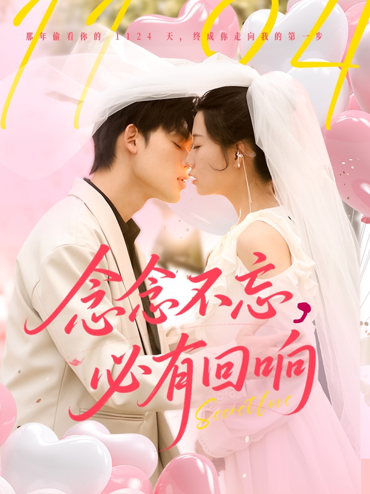 短剧《念念不忘，必有回响》 短剧全集免费看，高清在线播放，大结局震撼！  第1张