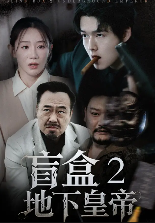 短剧《盲盒2地下皇帝》 免费看高清全集，大结局震撼揭晓  第1张