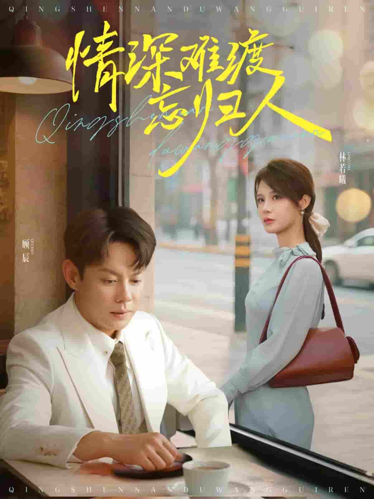 短剧《情深难渡忘归人》 免费观看！高清全集在线播放，大结局已完结  第1张