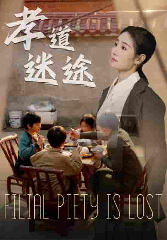 短剧《孝道迷途》 高清短剧全集在线，免费完整版无限制欣赏  第1张