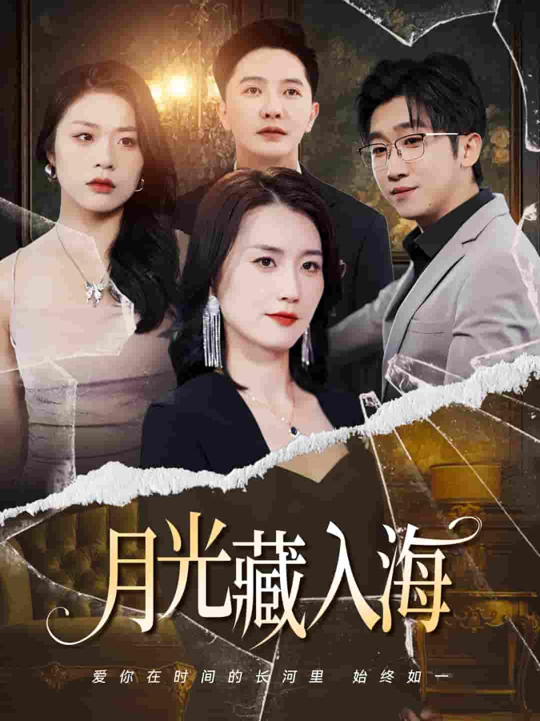 短剧《月光藏入海》 高清短剧全集免费，完整版在线观看无障碍  第1张
