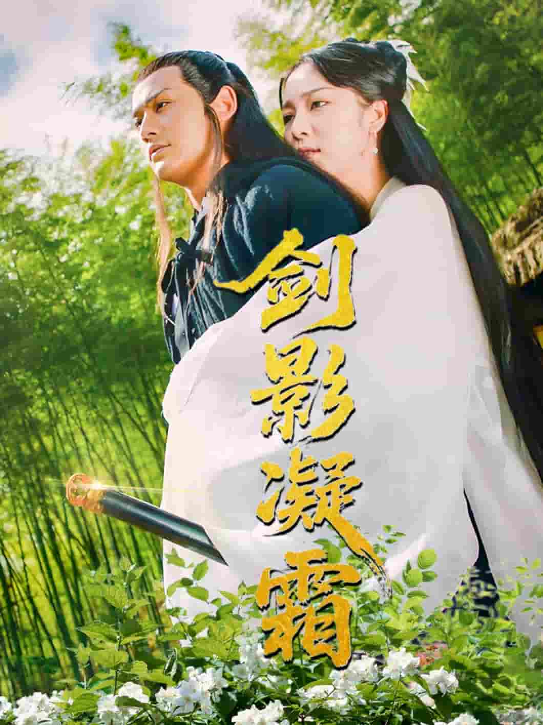短剧《剑影凝霜》 高清全集！免费在线观看，大结局已完结  第1张