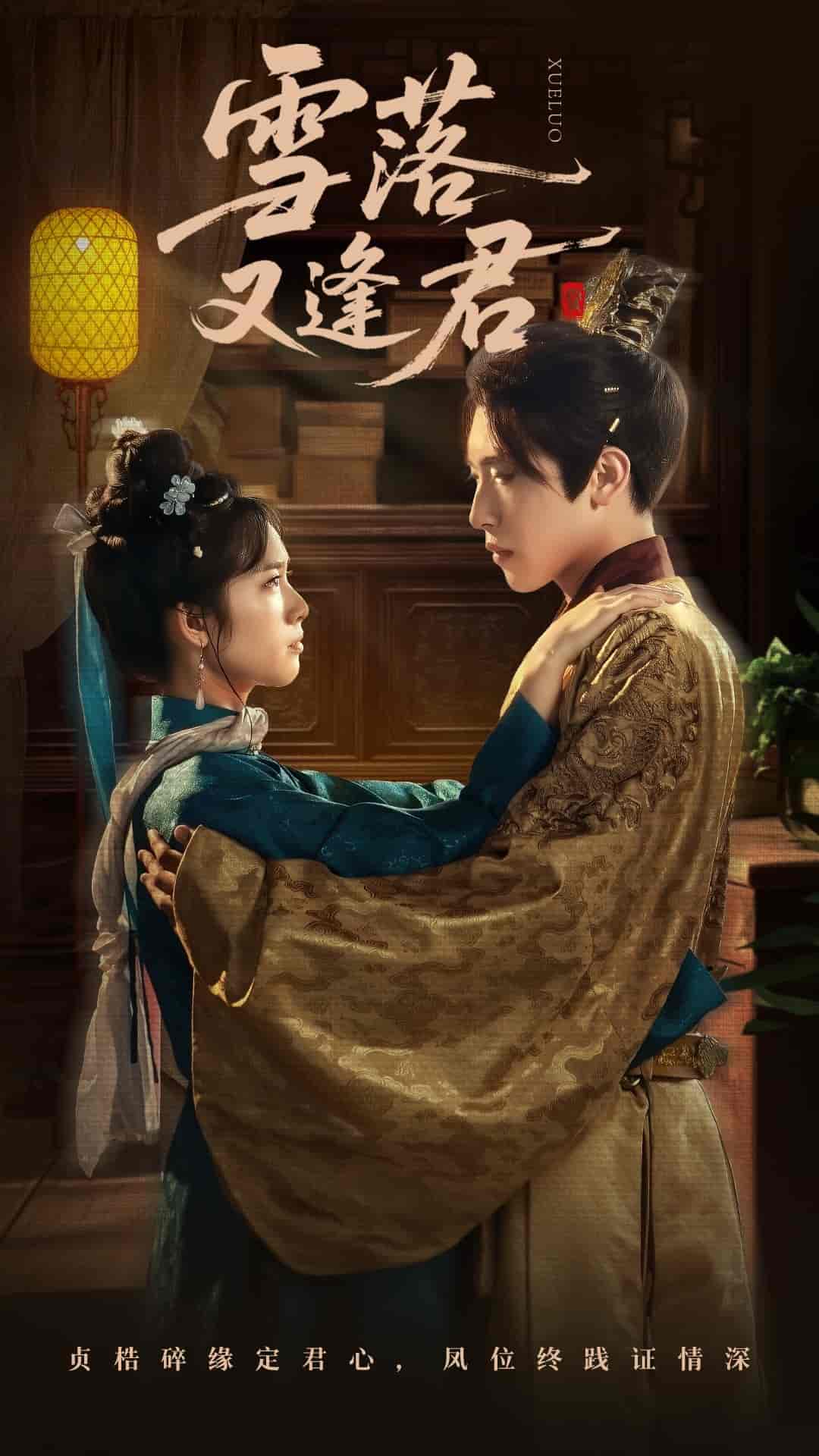 短剧《雪落又逢君》 免费观看高清全集，大结局震撼来袭  第1张