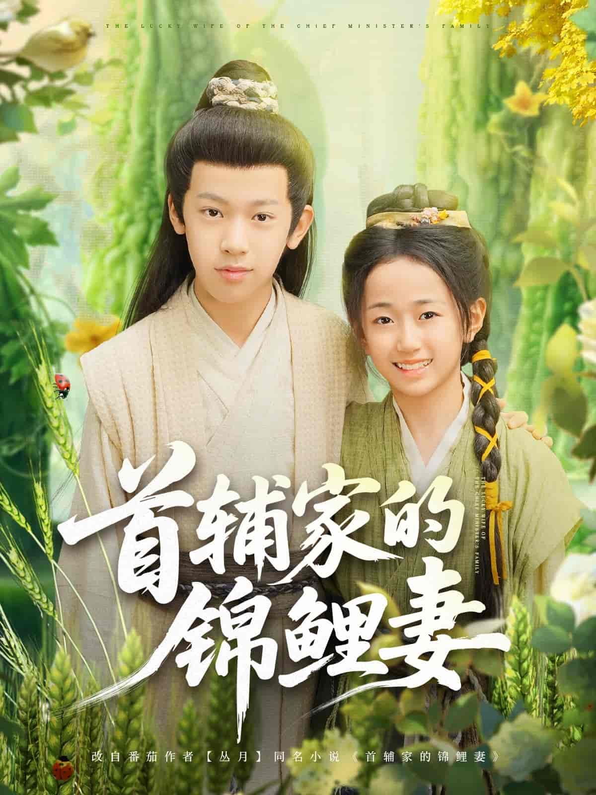短剧《首辅家的锦鲤妻》 短剧全集免费在线观看，高清画质，大结局已完结  第1张