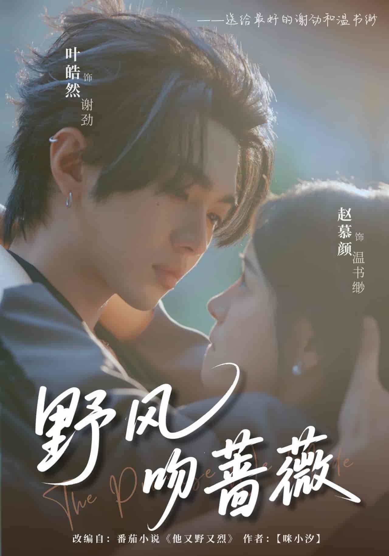 短剧《野风吻蔷薇》 完整版高清短剧免费看，在线全集随心享  第1张