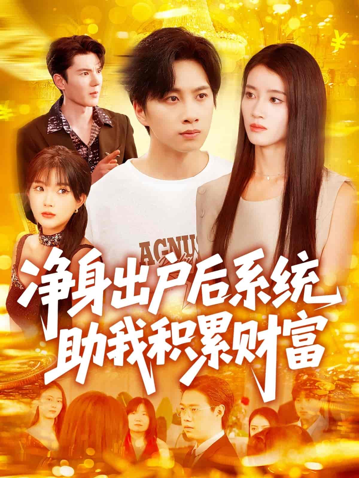 短剧《净身出户后系统助我积累财富》 全集免费在线，高清画质，大结局震撼揭晓  第1张