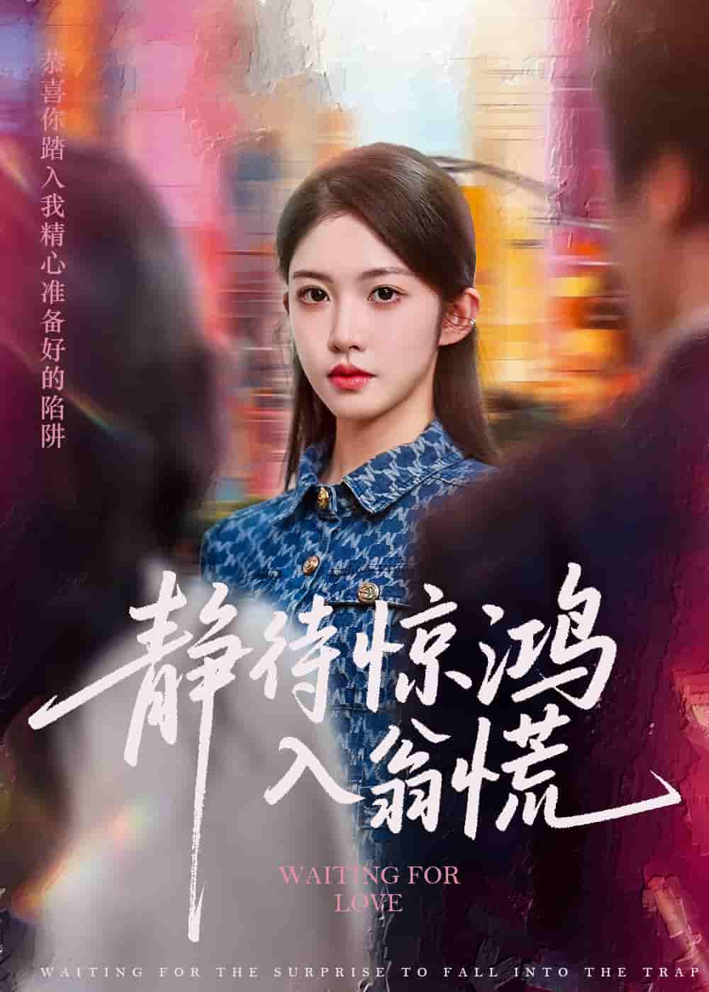 短剧《静待惊鸿入翁慌》 免费在线观看高清全集，完整版大结局已完结  第1张