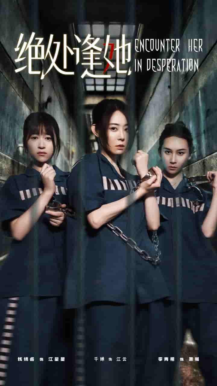 短剧《绝处逢她》 免费观看高清短剧，全集完整版在线无障碍  第1张
